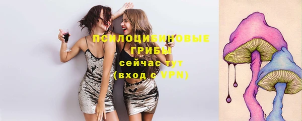 MESCALINE Покров