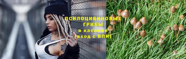 каннабис Аркадак