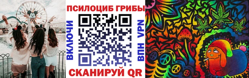 Псилоцибиновые грибы мицелий  Саров 